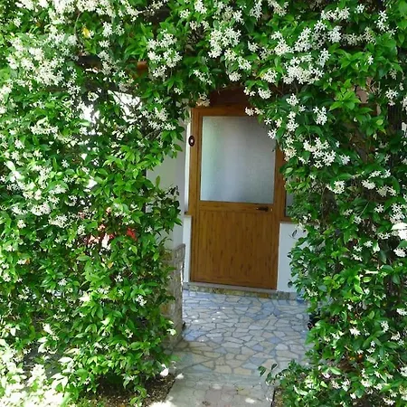 Summer House -room For 5 People In 1st Floor - J Сasa de vacaciones Velipojë