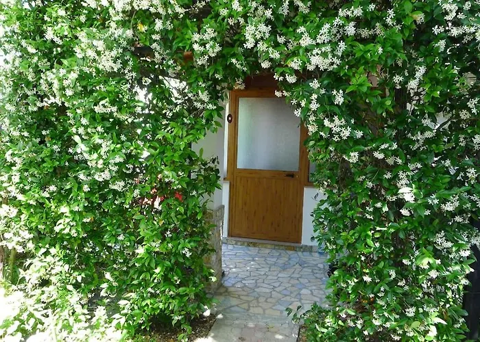 Summer House -room For 5 People In 1st Floor - J 度假居 Velipojë